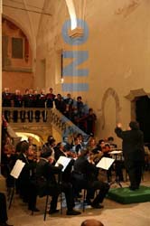 IMG_0683