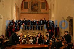 IMG_0850